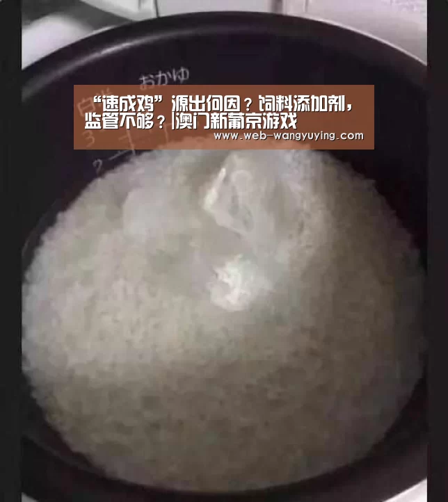 “速成鸡”源出何因?饲料添加剂,监管不够?|澳门新葡京游戏(图2) 澳门新葡京游戏