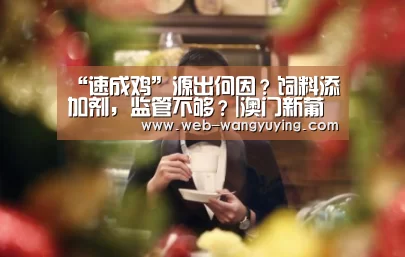 “速成鸡”源出何因?饲料添加剂,监管不够?|澳门新葡京游戏(图3) 新葡京娱乐官网